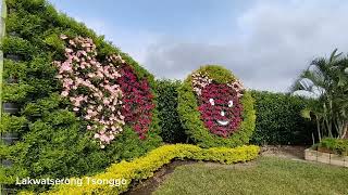 A must visit flower farm in Taichung Taiwan 🇹🇼 [upl. by Skippy]