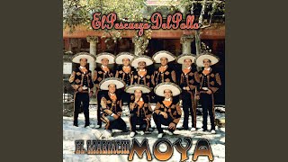 Mariachi Loco [upl. by Notse]