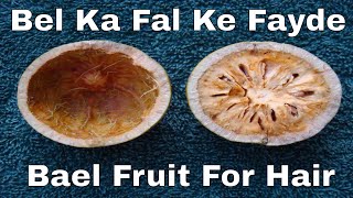 Bailgari Ke Fayde  Bael Fruit Benefits  IN URDU [upl. by Sinnel]