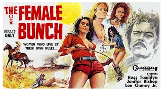 The Female Bunch 1971 Trailer 480p [upl. by Aplihs]