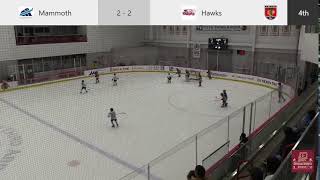 NIHLBlackhawks Tournament Peewee Silver Quarterfinals  2 Mammoth A1 vs 10 Hawks A3 [upl. by Nivad792]