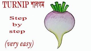 How to draw a Turnip step by step very easy  Art video [upl. by Weylin]