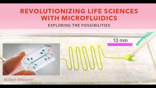 Microfluidics Applications in Life Sciences Explained in 5 Minutes [upl. by Grefer]