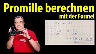 Promille berechnen mit Formel  einfach erklärt  mehrere Übungen  Lehrerschmidt [upl. by Blumenthal997]