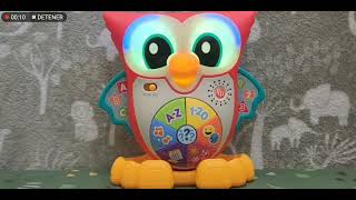 The Owl Singing Colorful Friends [upl. by Asteria]