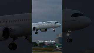 PHILIPPINE AIRLINES A321NEO landing at Manila Airport shorts aviation a321 landing manila [upl. by Gainor336]