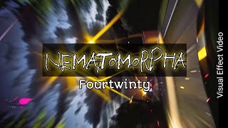 Nematomorpha  fourtwnty  Visual effect video [upl. by Aredna]