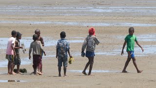 On The Waterfront in Madagascar [upl. by Nedarb]