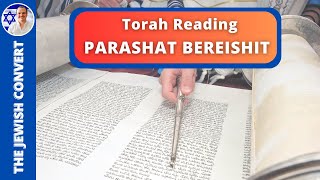 PARASHAT BEREISHIT  Weekly Torah Reading in Hebrew amp English Translation  TORAH STUDY [upl. by Nawtna]