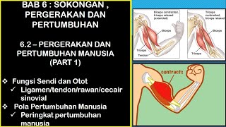 Sains Tingkatan 4 KSSM I BAB 6 I 62  PERGERAKAN DAN PERTUMBUHAN MANUSIA [upl. by Yeclek]