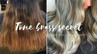 How To Tone Hair CHEAP EASY SECRET [upl. by Sellers]