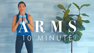 10 Minute Standing Arm Workout for Beginners amp Seniors to the Beat 🎶 [upl. by Eenahs]