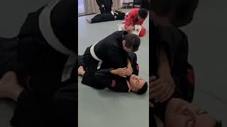 BJJ Cross Collar Choke from Mount [upl. by Esli]