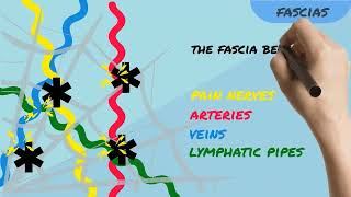 Chronic pain 6 the role of fascia in chronic pain [upl. by Apicella]