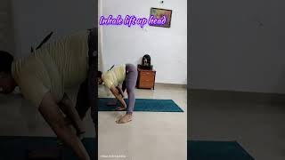 Ashtanga Vinyasa AbhyasaBakasan yogashortsfeed ytshortsindia motivation healrhfitness [upl. by Dolf199]