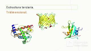 Biomoléculas [upl. by Bruner]