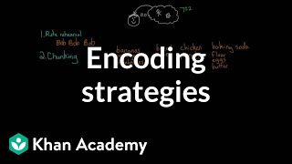 Encoding strategies  Processing the Environment  MCAT  Khan Academy [upl. by Butterfield]