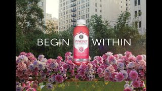 SYNERGY Raw Kombucha – Begin Within — GT’s Living Foods [upl. by Dacie]