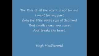 Oh Wee White Rose of Scotland [upl. by Willcox306]