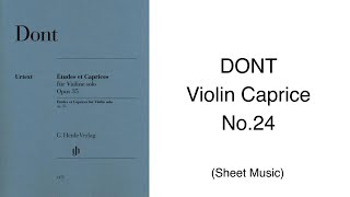 DONT 24 Violin Caprice No24 [upl. by Decamp]