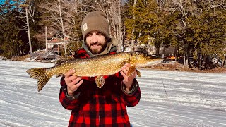 Maine Pike FishingIce Derby [upl. by Secunda926]