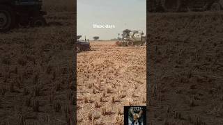 viral viralvideo farming villagelife viralshort [upl. by Arres]