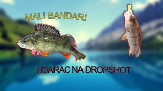 Pecanje bandara na plovak i drop shot perch drop shot rig [upl. by Belak172]