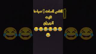 funny salafi ibrahim love moments shortsfeed cluumn [upl. by Meyer195]