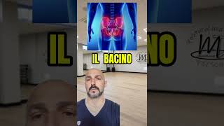 Il bacino benessere salute personaltrainer fitness posturalcorrection postura allenamento [upl. by Enner]