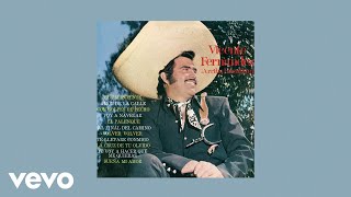 Vicente Fernández  Volver Volver Letra  Lyrics [upl. by Benjy]