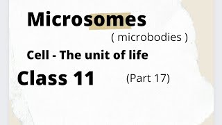 Microsomes  Cell  The unit of life Class 11 Part 16 [upl. by Rexferd]