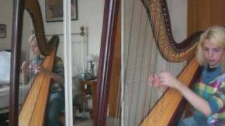 En Gallop  Joanna Newsom Harp Cover [upl. by Wynn]