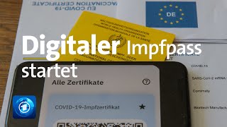 Digitales Impfzertifikat für CoronaImpfungen gestartet [upl. by Anerak]