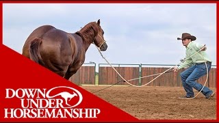 Clinton Anderson How to get a Horse to Move Out Better on the Ground  Downunder Horsemanship [upl. by Alemaj905]