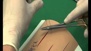 CSL Cruciate suture pattern [upl. by Akiemahs]