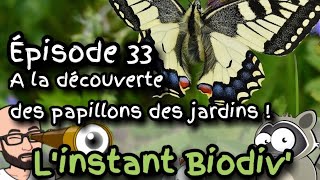 Ep33 À la découverte des papillons des jardins [upl. by Adnaw]