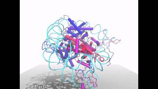 1 microsecond MD simulations of nucleosome PDB 1kx5 [upl. by Janenna]