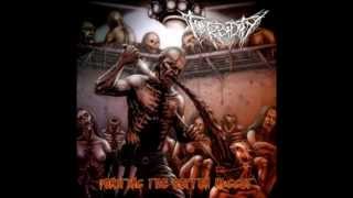 Turbidity  Vomiting The Rotten Maggot 2012 FullEP [upl. by Elleinet968]