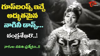 Actress Bharati Goosebumps Nagini Dance  Chandrasekhara Song  Akhandudu Movie  Old Telugu Songs [upl. by Chadburn376]