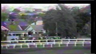 1977 Oakleigh Plate [upl. by Fates]