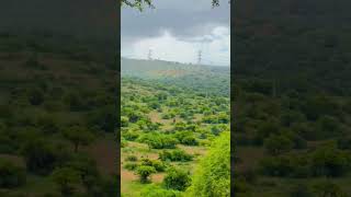 Thar Desert After Rain [upl. by Vidovic618]