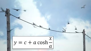 Hyperbolic Functions Catenary Example 4 Arc Length [upl. by Prudy]