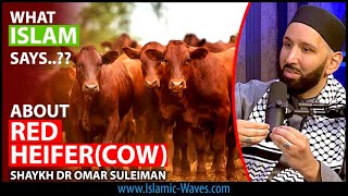 What ISLAM Says About RED HEIFER COW  Shaykh Omar Suleiman [upl. by Nnylsaj]