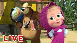 Masha and the Bear 2024 📚🐯 Animal stories 🐾🐻 1 hour ⏰ Сartoon collection 🎬 [upl. by Tahmosh]