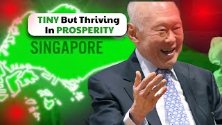 Why SINGAPORE Has Become So Rich Despite Being Tiny [upl. by Platus]