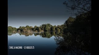 Etang la Malonne  Pêche de la carpe vendée HD [upl. by Etnoj]