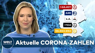 Aktuelle CORONAZAHLEN RKI meldet 4401 COVID19Neuinfektionen  Inzidenz bei 446 [upl. by Ji231]