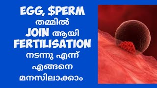 Egg and perm joining Symptoms Malayalam [upl. by Ariajay]