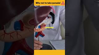 Panadol Dangers You Need to Know About NOW [upl. by Kcirre209]