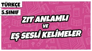 5 Sınıf Türkçe  Zıt Anlamlı Ve Eş Sesli Kelimeler  2022 [upl. by Nillok768]